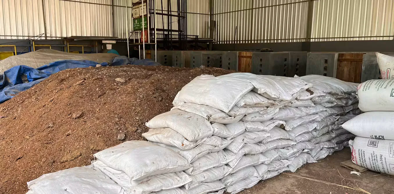 Transisi Energi dari Desa: Biogas, Perlindungan Gambut, dan Ekowisata sebagai Bukti Aksi Iklim Lokal