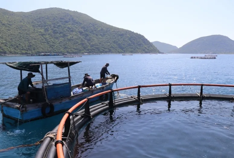 Revisi UU Kelautan Vietnam: Insentif Baru untuk Membuka Investasi Ekonomi Biru
