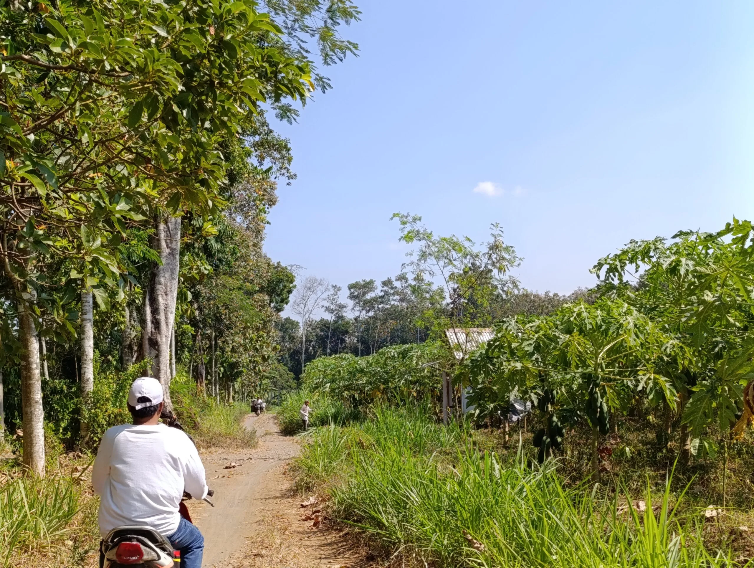 Petani Jember Lawan Rencana Batalyon: 220 Keluarga Terancam Kehilangan Lahan Produktif