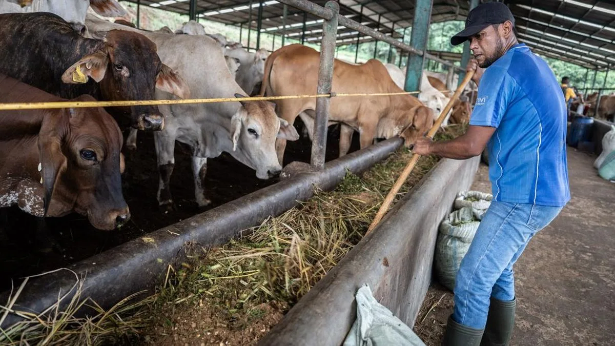Korupsi Pakan Satwa di Kebun Binatang Surabaya: Mantan Dirut Tersangka, Kerugian Rp10,2 M