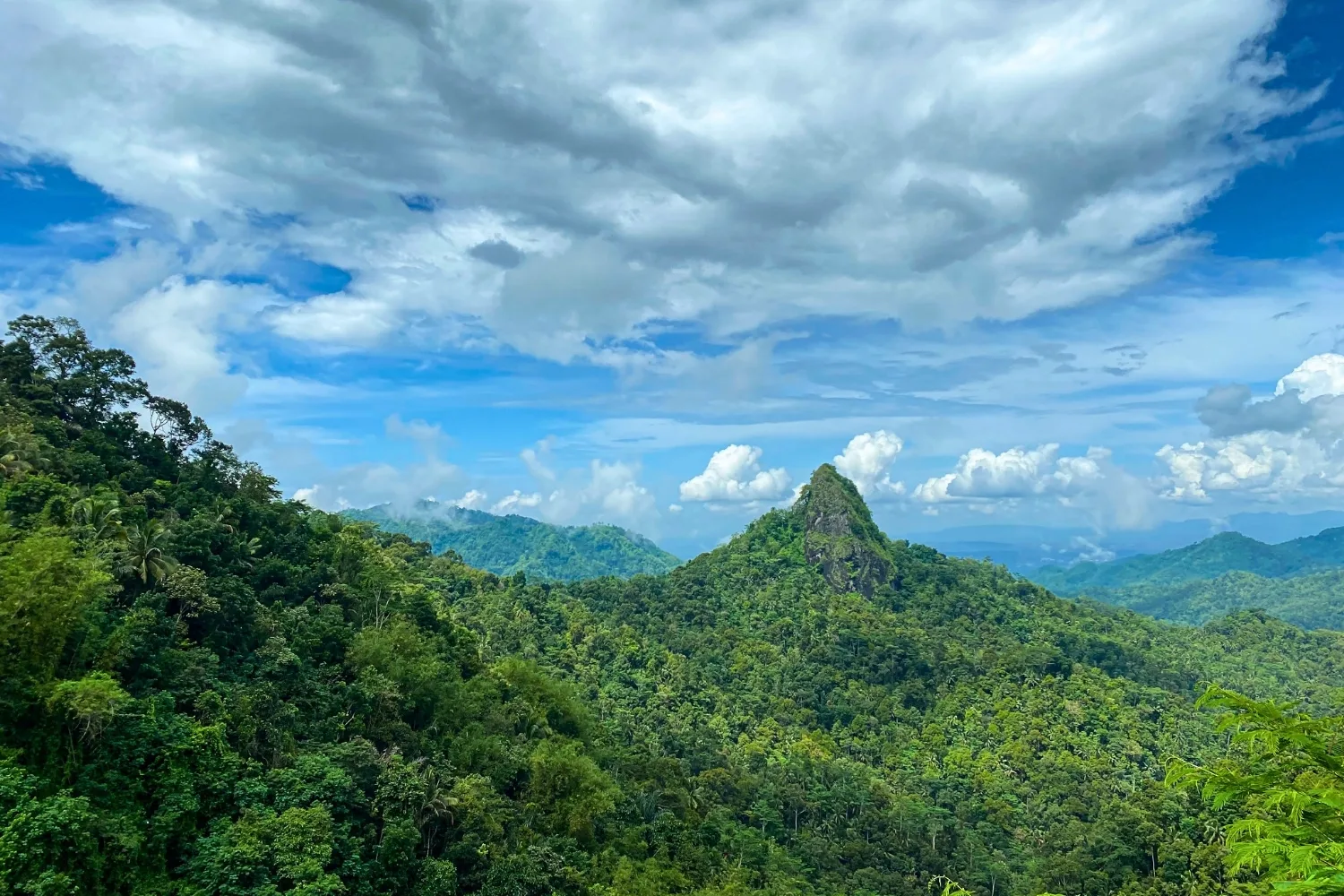 Warga Perbukitan Menoreh Bersatu Pulihkan Habitat Burung yang Terancam