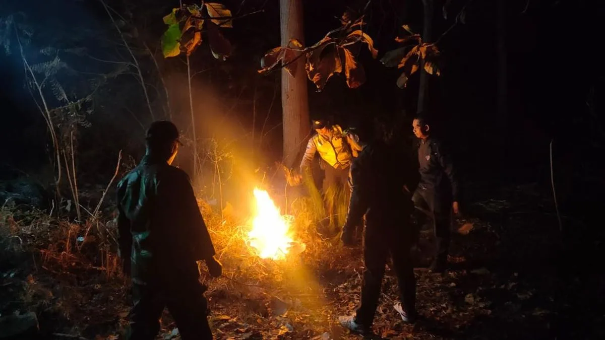 Kebakaran Hutan di Ponorogo Hanguskan 2,3 Hektare, Diduga Ulah Manusia