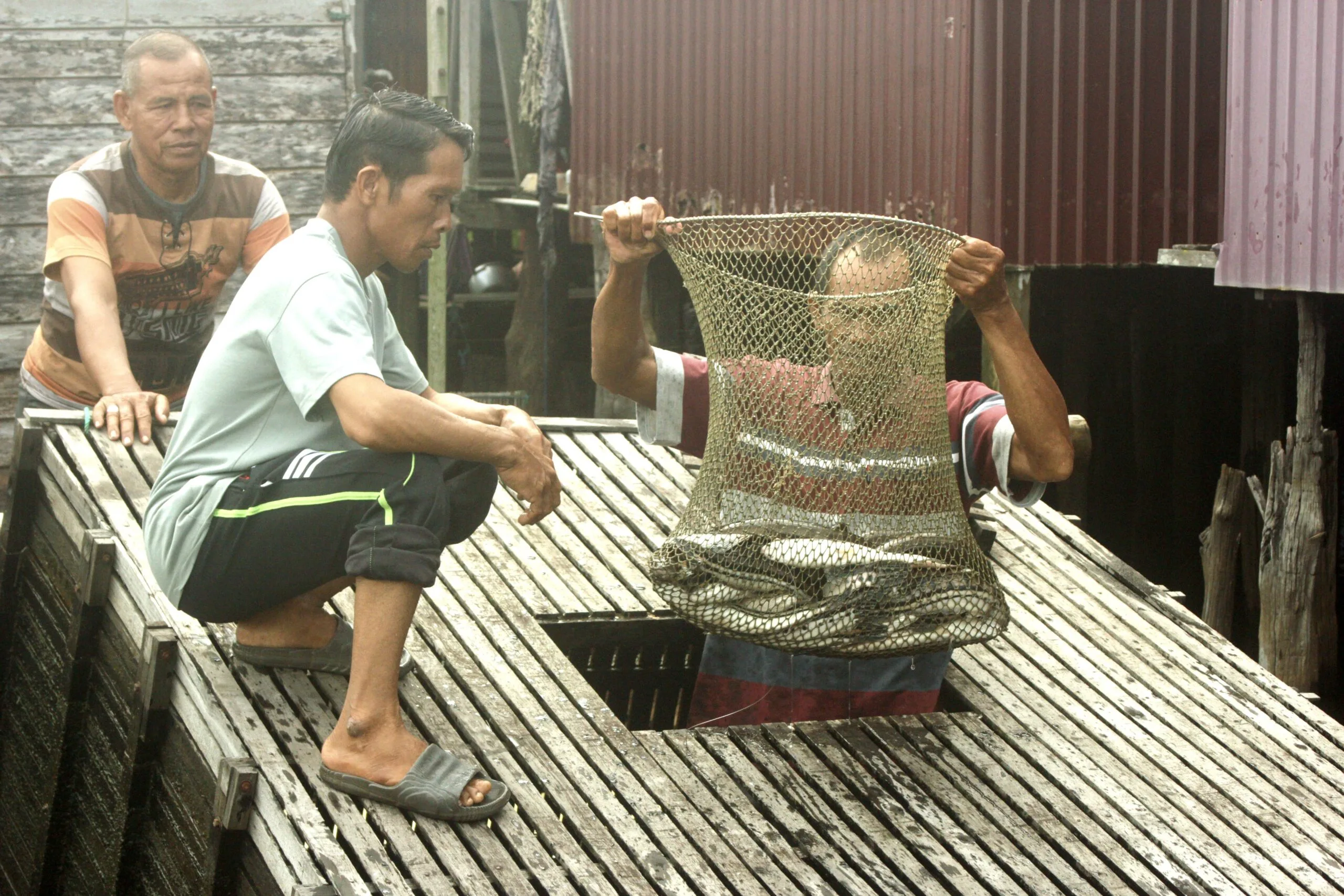 Hasil Tangkapan Merosot, Nelayan Rawa Paminggir Terjepit Perubahan Iklim