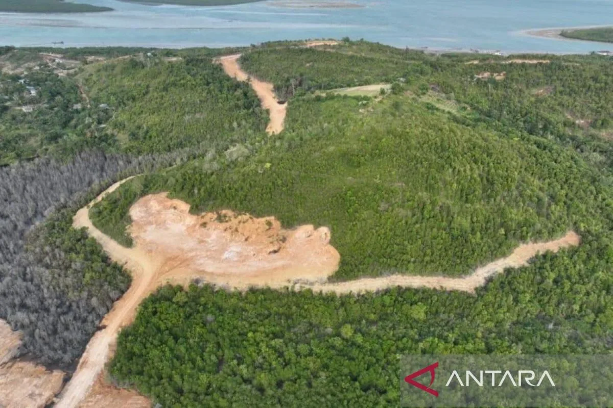 Kemenhut Tetapkan PT GTP Tersangka Perambahan Hutan Lindung di Batam: Ancaman 10 Tahun Penjara