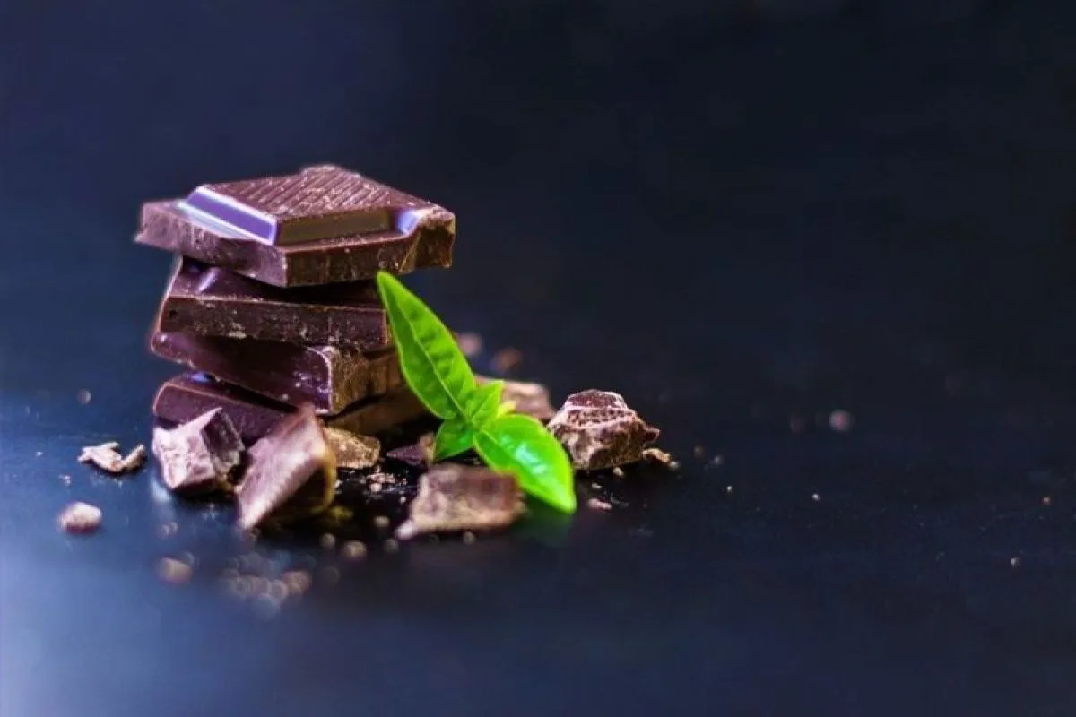 Aroma Cokelat Hitam Terbukti Tingkatkan Repetisi Latihan, Studi Ungkap Potensi Penekan Rasa Lapar