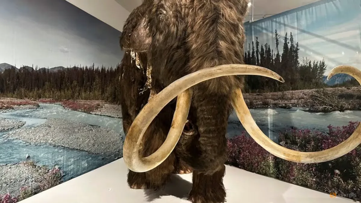 Studi Genetika: Manusia Purba Lebih Sering Memburu Mammoth Betina, Mengapa?