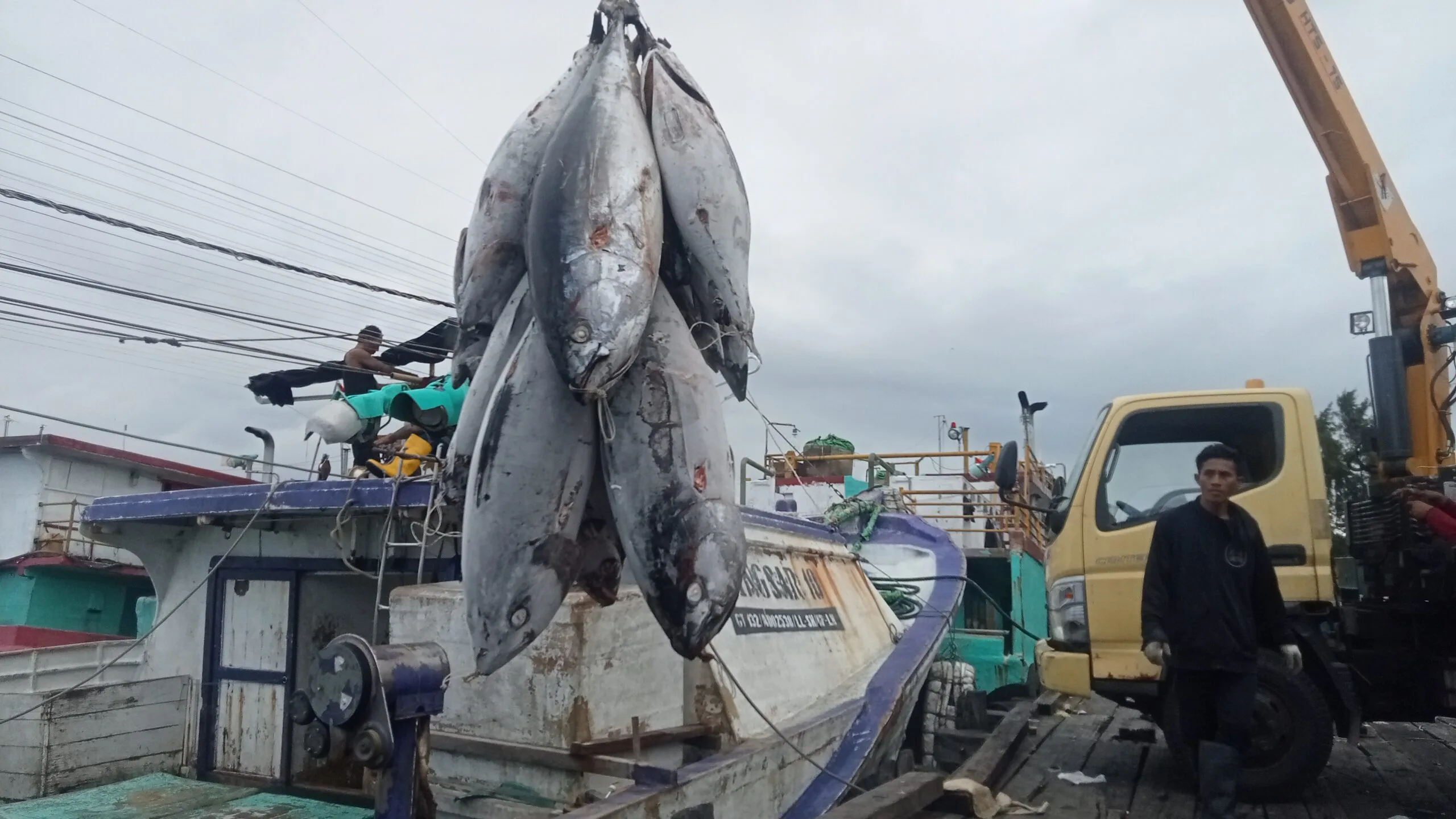 Izin Kedaluwarsa, Puluhan Kapal Tuna Benoa Diduga Masih Beroperasi di Samudra Hindia