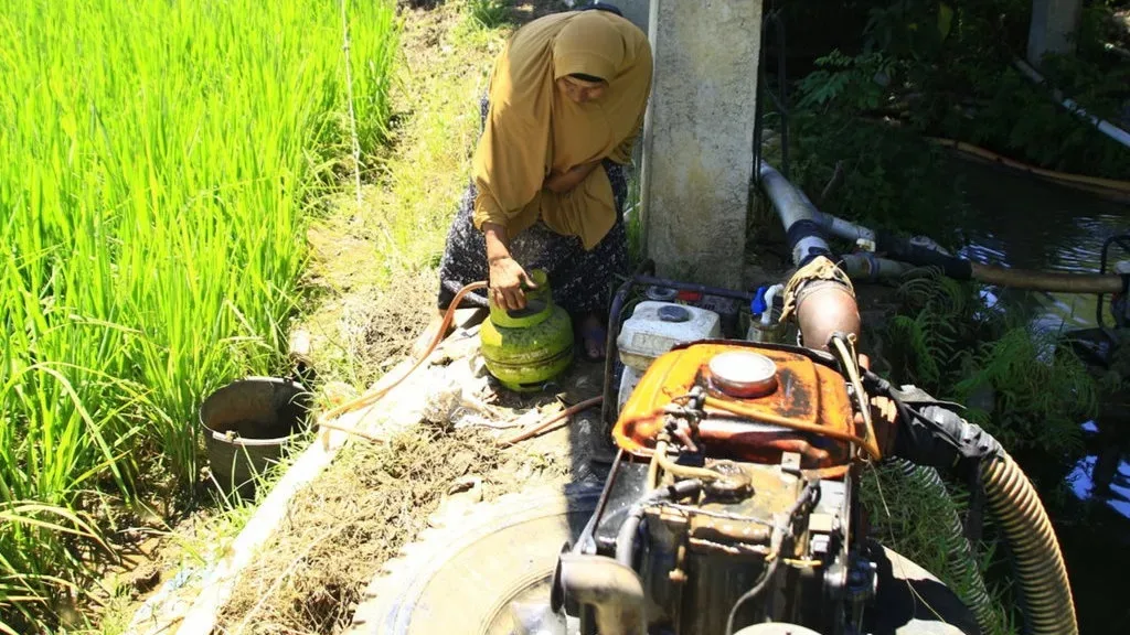 Gas Melon Masuk Sawah: Siasat Petani Aceh Hadapi Krisis Air