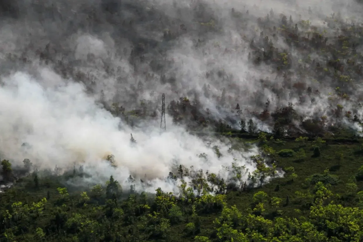 El Niño Memicu Lonjakan Kebakaran Hutan: Indonesia Menuju Musibah Terparah?