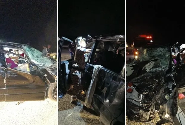 Tabrakan dengan Kawanan Gajah Liar di Tol Malaysia: Dua Warga Terluka