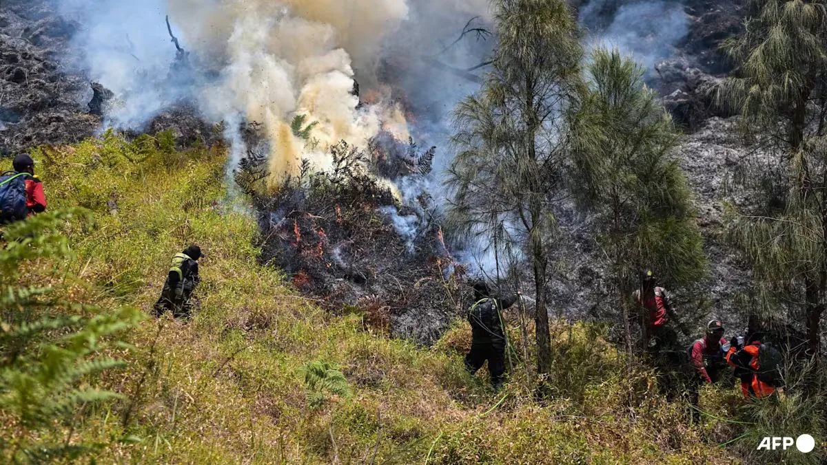 Kebakaran Meluas di Bromo, Akses Wisata Ditutup Total: 176 Hektare Lahan Terbakar