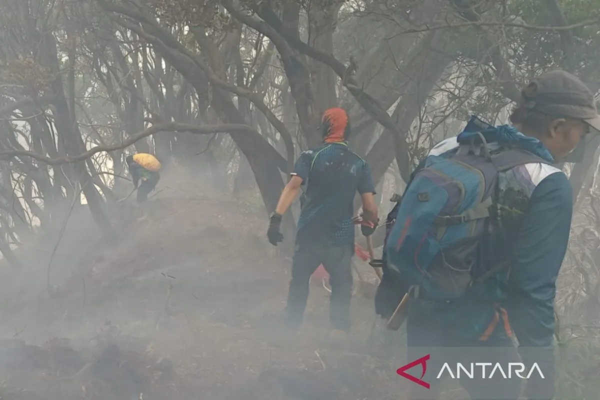 Kebakaran Kawah Wadon Gunung Gede Meluas, 150 Personel Gabungan Berjibaku di Medan Terjal