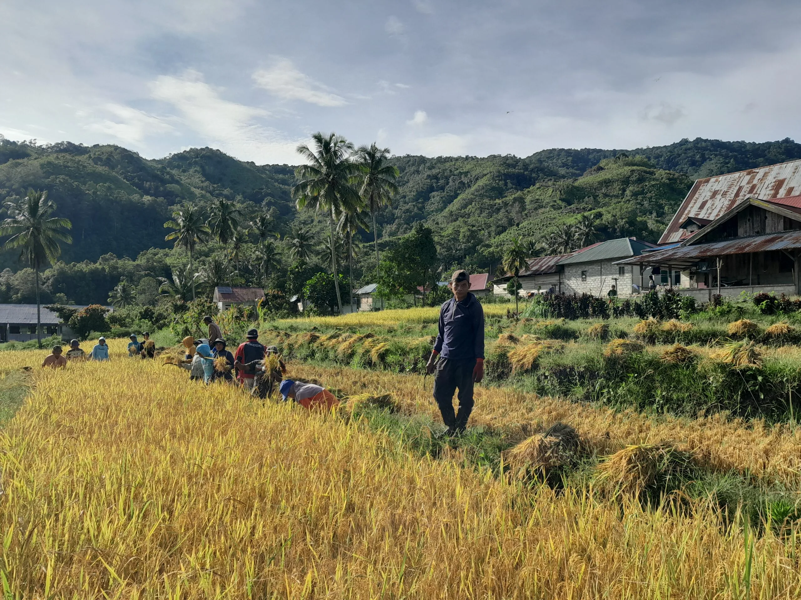 Masyarakat Adat Banasu Melawan Klaim Negara: Hutan Adat 5.989 Hektar Menanti Pengakuan Kementerian Kehutanan