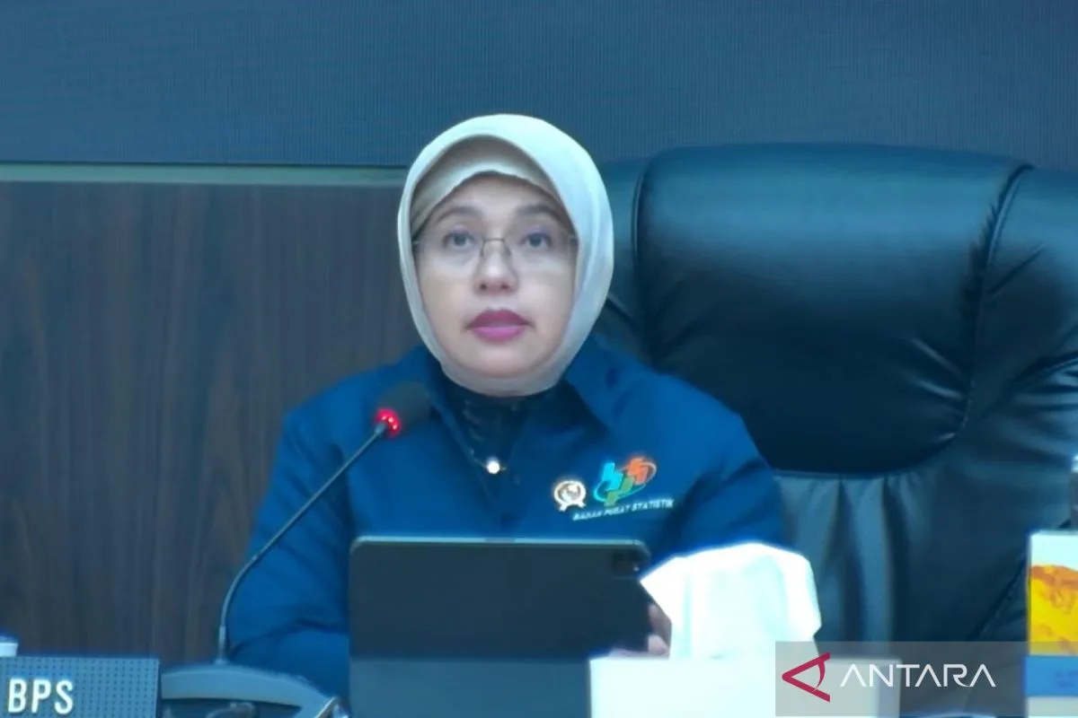BPS: 21 Provinsi Catat Penurunan IPH, Daging Ayam Ras Jadi Pemicu Kenaikan di Wilayah Lain