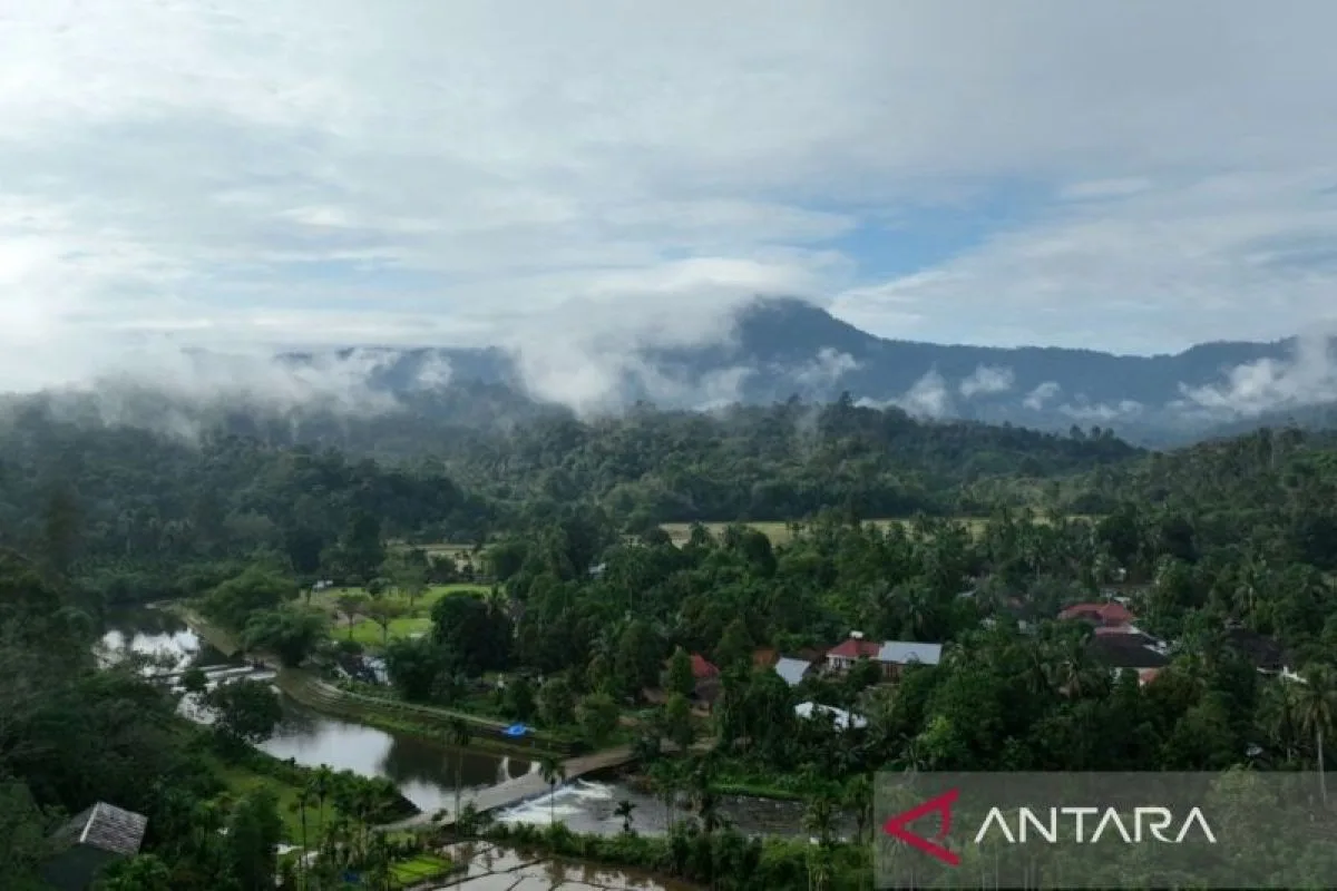 Kemenhut Rombak Tata Kelola Karbon Hutan: Integritas Jadi Kunci Pasar Baru