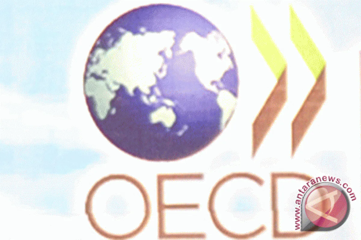 Jalan Indonesia Menuju OECD: Lebih dari Sekadar Gelar Keanggotaan