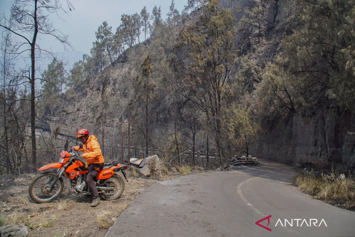 Pemerintah Kerahkan Segala Sumber Daya Padamkan Karhutla: Kalimantan dan Bromo Jadi Prioritas