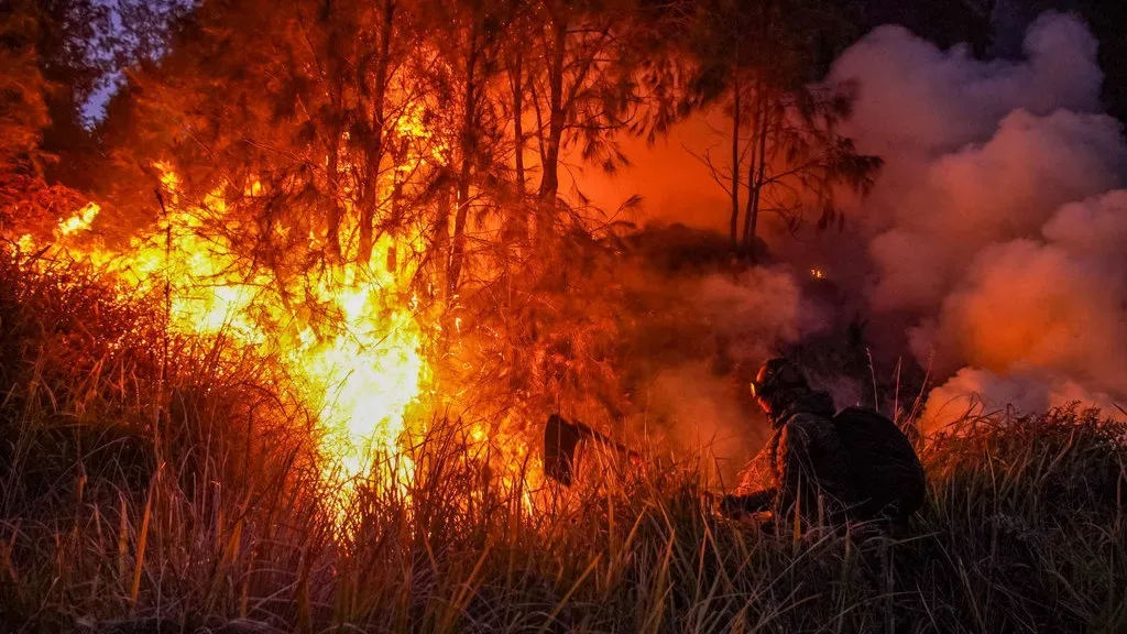 Kebakaran Gunung Bromo: Menko Polkam Tegaskan Penyebabnya Human Error