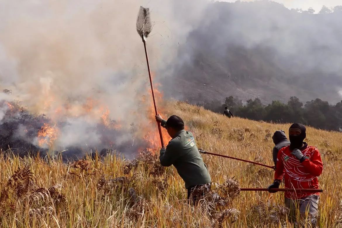 Kebakaran Bromo Meluas, Akses Wisata Ditutup Total: Kerugian Ekonomi dan Ancaman Ekologis Mengintai