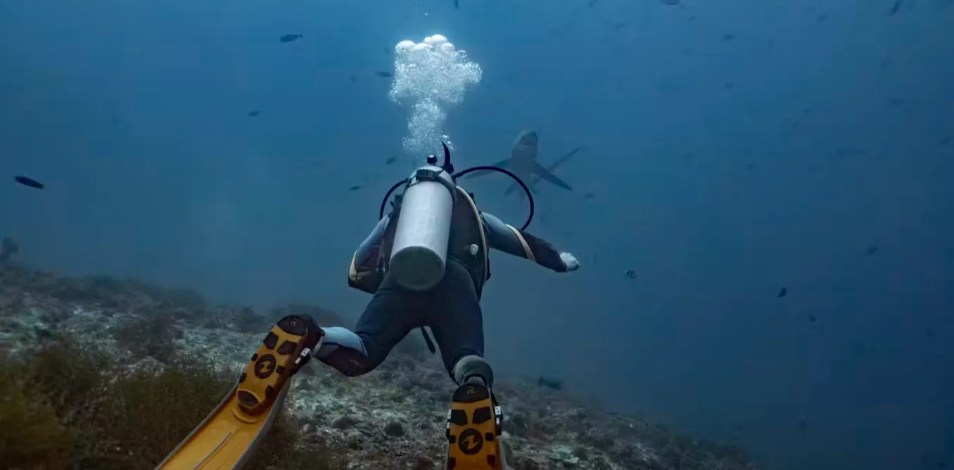 Riset: Penyelam Scuba Kerap Merusak Terumbu Karang Tanpa Sadar, Ini Temuannya