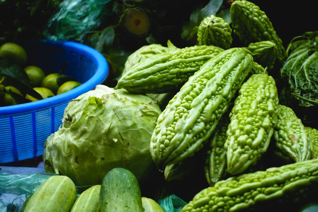 Pare: Sayur Pahit Warisan Ayurveda yang Kini Menjadi Sorotan Riset Diabetes