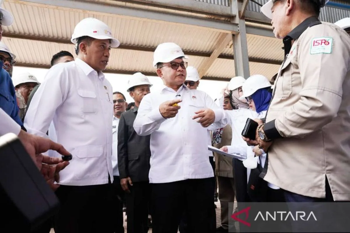 Hilirisasi Koperasi Jadi Motor Ekonomi Desa, Sumsel Ditetapkan sebagai Pilot Project