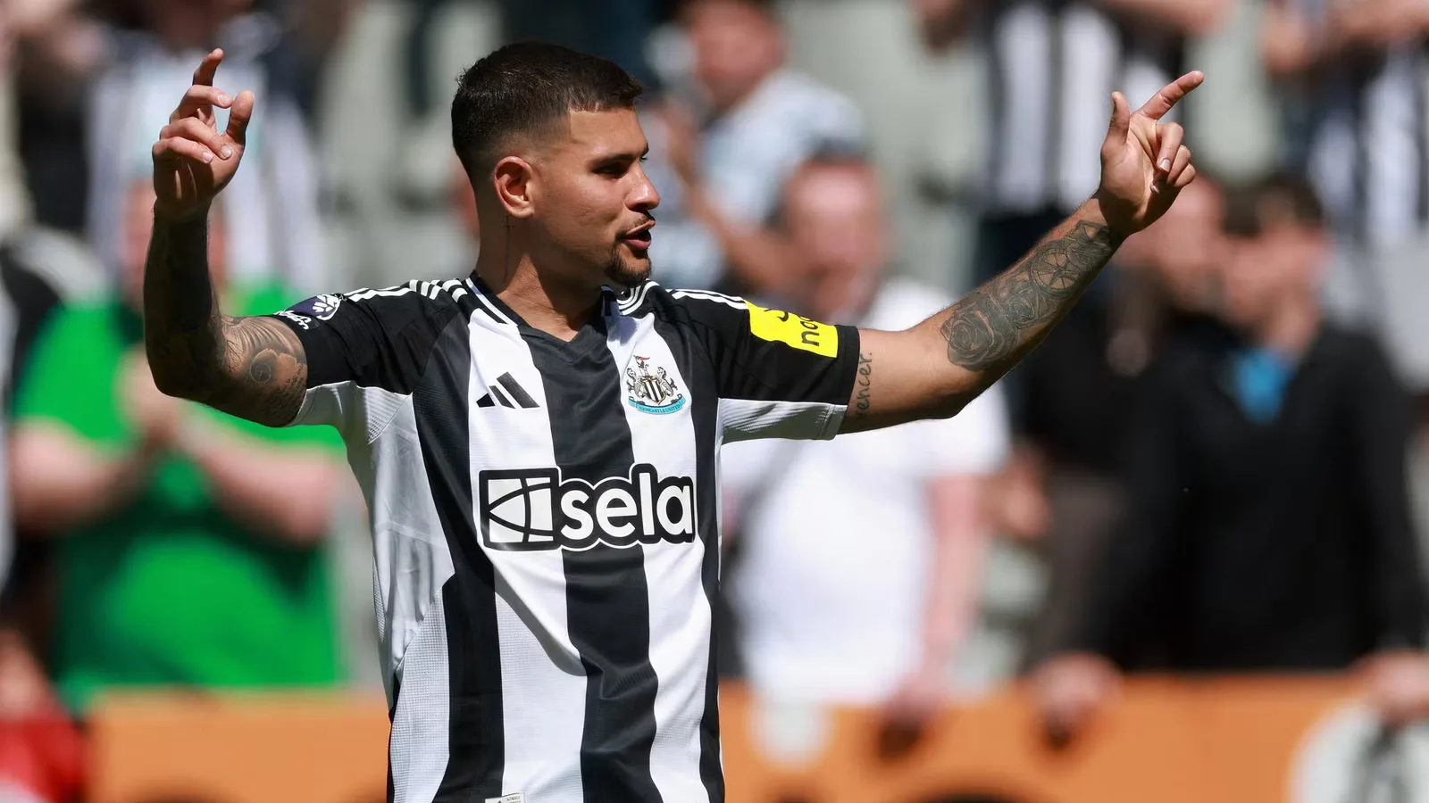 Newcastle Incar Palhinha untuk Gantikan Peran Bruno Guimaraes