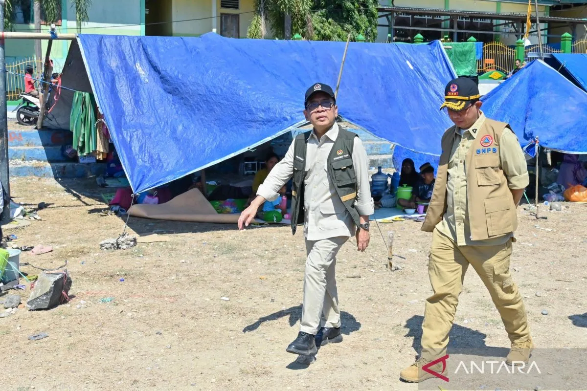 Pemerintah Pusat Desak NTT Bentuk Satgas Daerah: Kunci Percepatan Penanganan Gempa 7,7 Magnitudo