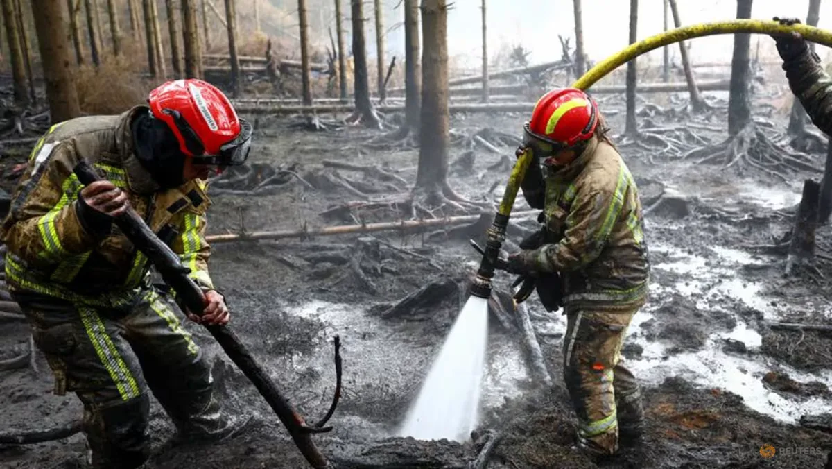Kebakaran Hutan Belgia Terkendali, Evakuasi Dicabut: Pelajaran bagi Indonesia