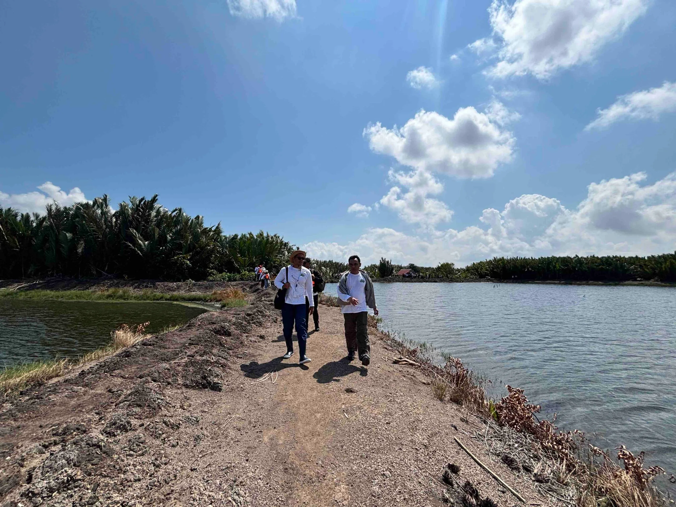 Petambak Delta Mahakam Buktikan Mangrove Bukan Penghalang, Justru Kunci Panen Berlipat
