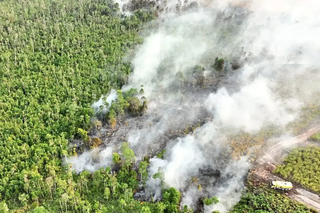 Kebakaran Hutan Kalimantan Meluas, Pakar Peringatkan Puncak Krisis Belum Berlalu