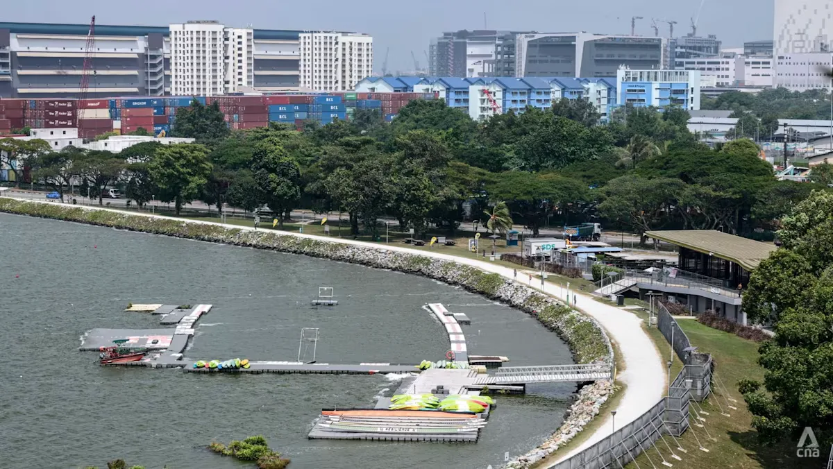 Buaya Muara Muncul di Waduk Pandan Singapura: Aktivitas Air Dihentikan, Warga Tenang