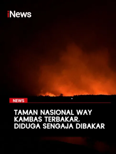 (TNWK) di Kabupaten Lampung Timur kebakaran
