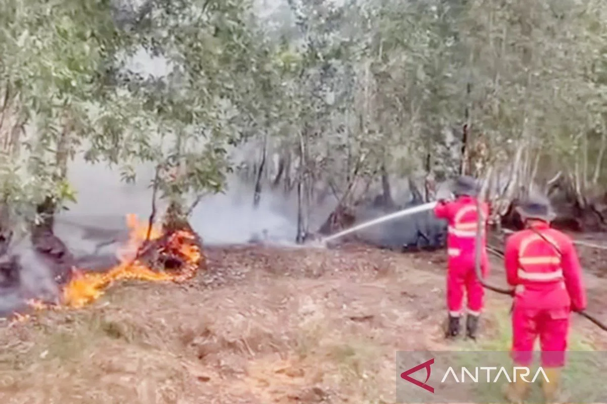 Menhut Kerahkan Armada Water Bombing Tambahan ke Kalsel: Titik Panas Kembali Meningkat Jadi 44