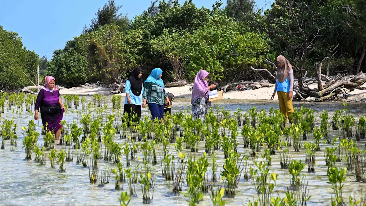 Melawan Klaim Lahan di Pulau Pari: Perempuan dan Gugatan Iklim ke Holcim