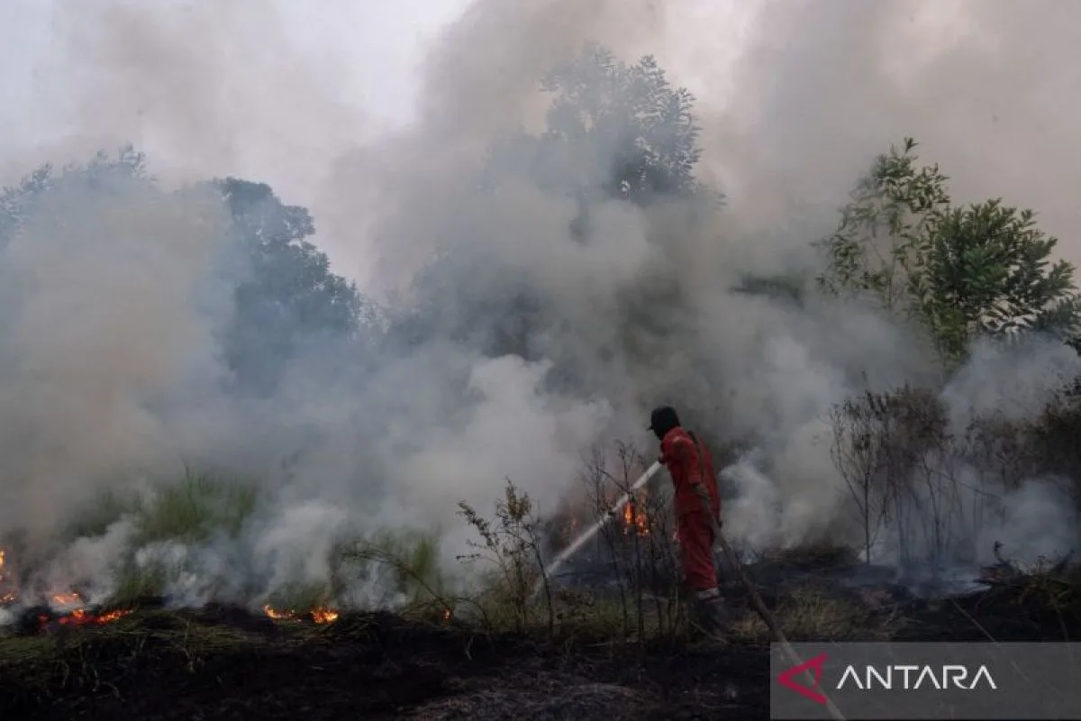 Bareskrim Tetapkan 72 Tersangka Karhutla di 9 Polda, Usut Aliran Dana hingga Korporasi
