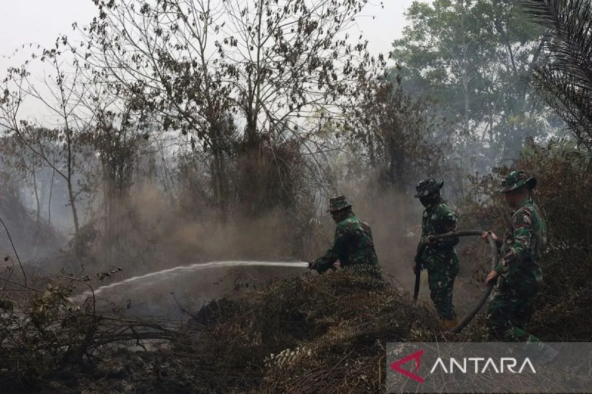 Karhutla 2026: Kemenkes Kerahkan 314 Tenaga Medis dan Ratusan Ribu Masker ke Tujuh Provinsi