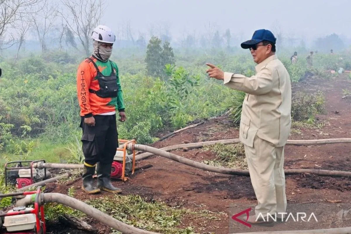 Prabowo Perluas Operasi Karhutla ke Sumatera: Riau Jadi Pintu Masuk, 2.894 Titik Panas Terdeteksi