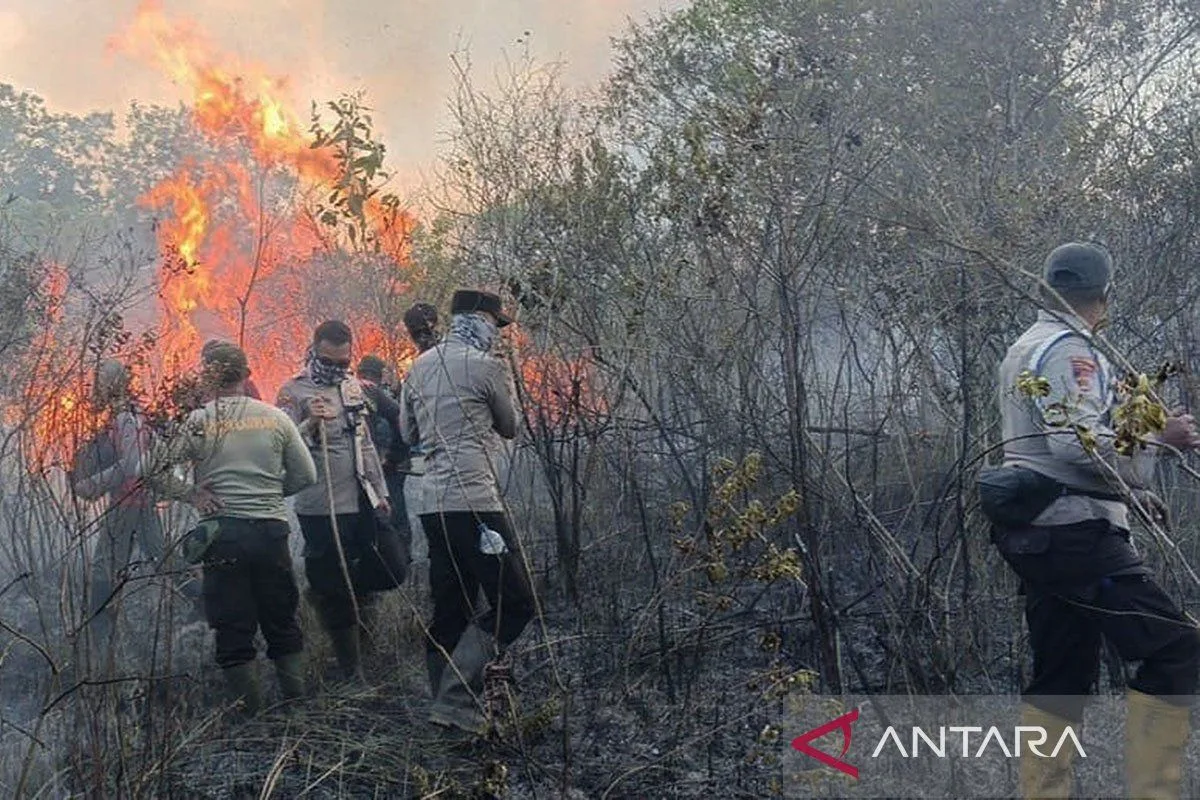 Hotspot Mengancam Way Kambas, Prabowo Perintahkan Penanganan Karhutla hingga ke Lampung