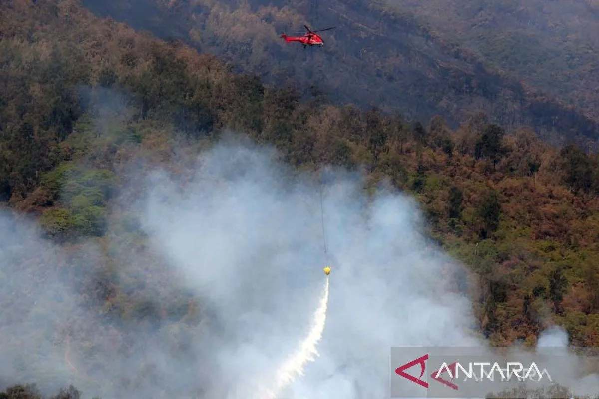 Water Bombing Digencarkan di Arjuno, Luas Karhutla Capai 146,85 Hektare