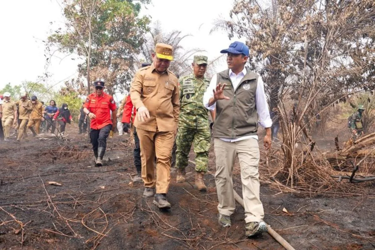 Menhut: 42 Kasus Karhutla Diproses, Sanksi Tak Pandang Bulu