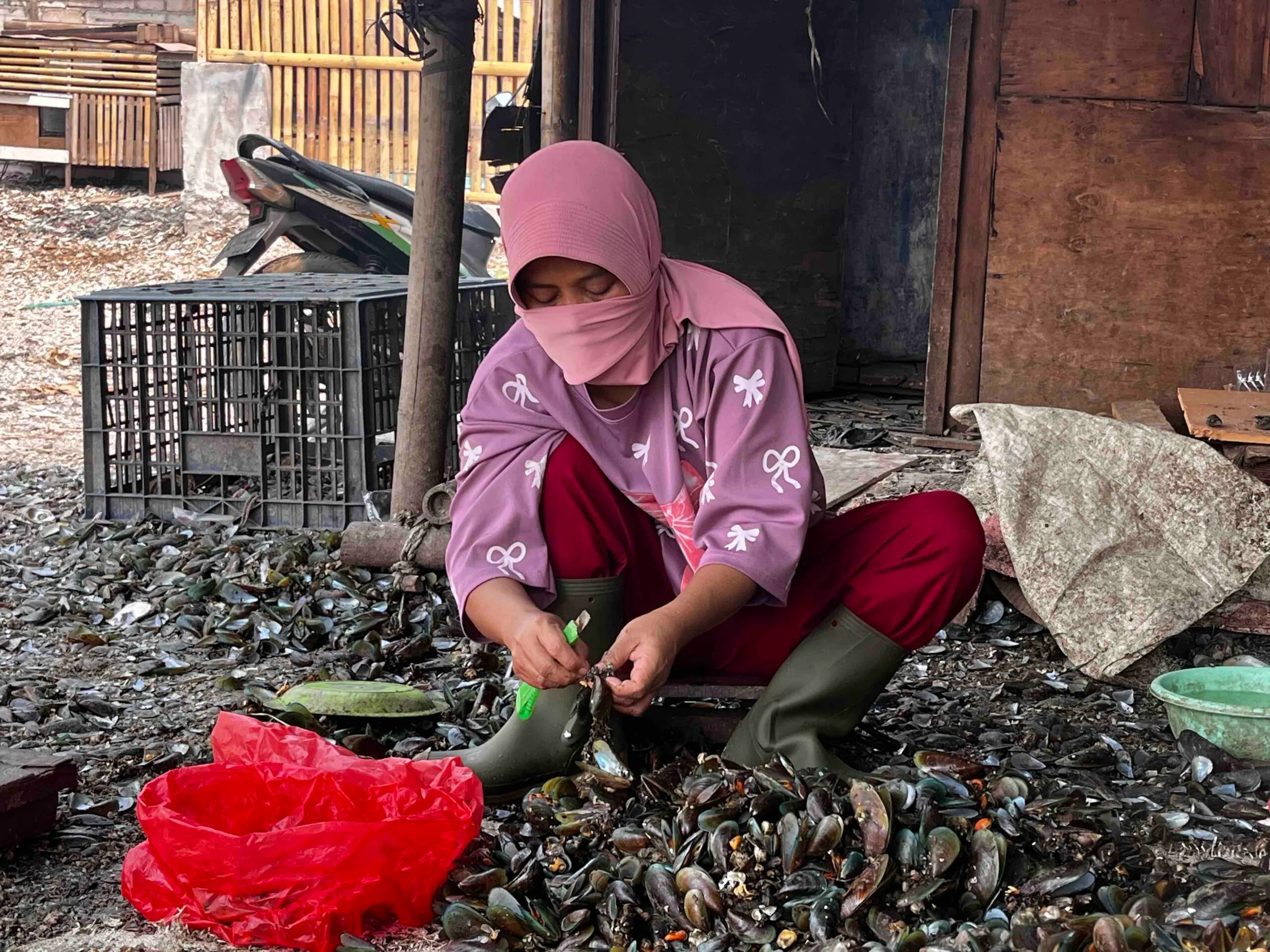 Kerusakan Pesisir Teluk Jakarta Memukul Warga Dadap: Perempuan dan Pemuda Melawan dengan Festival