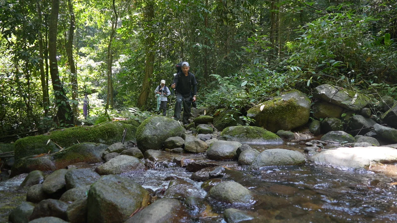 Menembus Rimba Meratus: Energi Surya untuk Desa Tertinggi di Kalsel