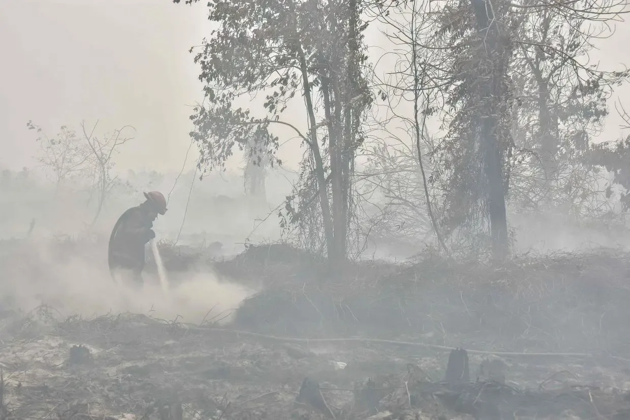 Kabut Asap Riau: Kasus ISPA Melonjak 1.960 dalam Sepekan, Sekolah Dialihkan ke Daring