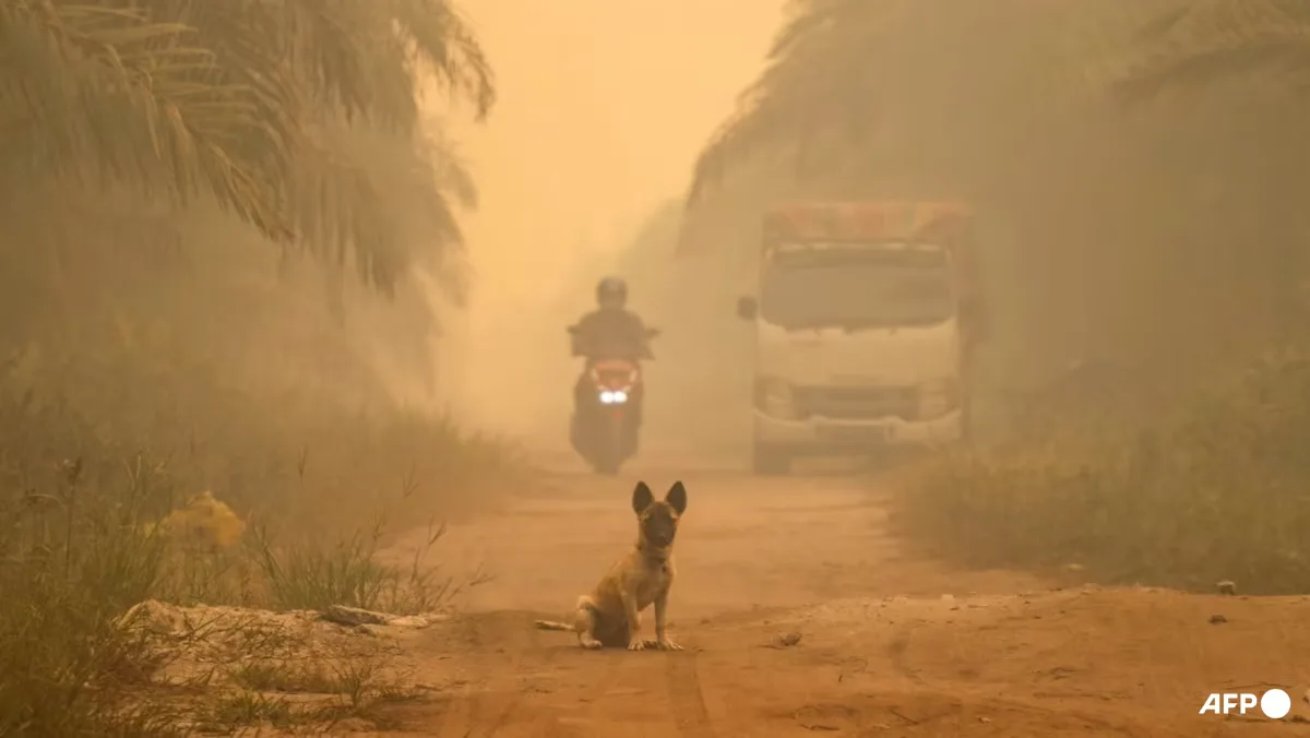Kabut Asap Kalimantan Kian Parah: Palangkaraya Catat AQI 780, Jepang Kirim Misi Pemadaman