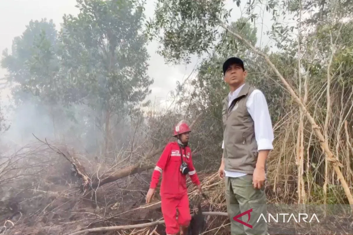 Prabowo Turun Tangan Pantau Karhutla, Menhut: Arahan Presiden Kunci Tekan Titik Panas