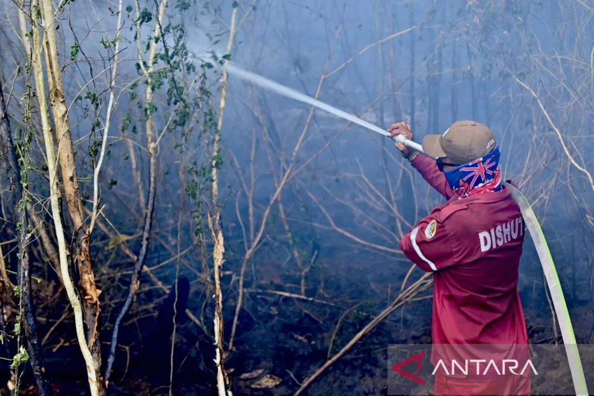 BMKG Catat 1.299 Titik Panas di Kalsel, Seluruh Wilayah Masuk Kategori Sangat Mudah Terbakar
