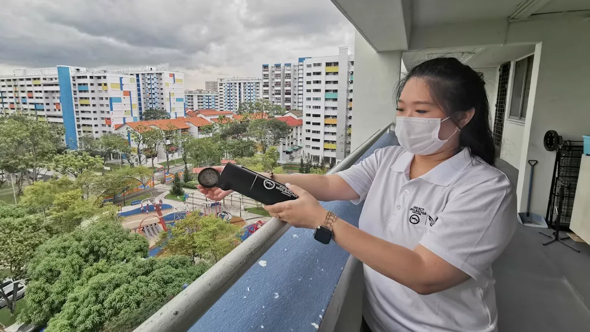 Singapura Menang Lawan DBD dengan Nyamuk Wolbachia: Populasi Aedes Anjlok 90%