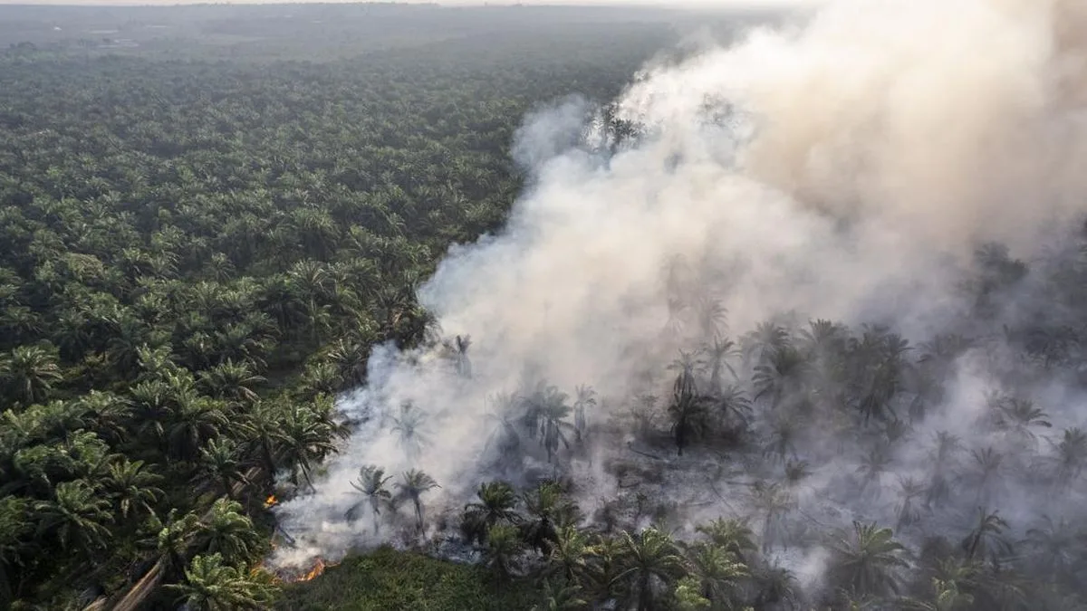 Karhutla 2026: 112 Tersangka Ditetapkan, Riau dan Kalbar Jadi Sorotan