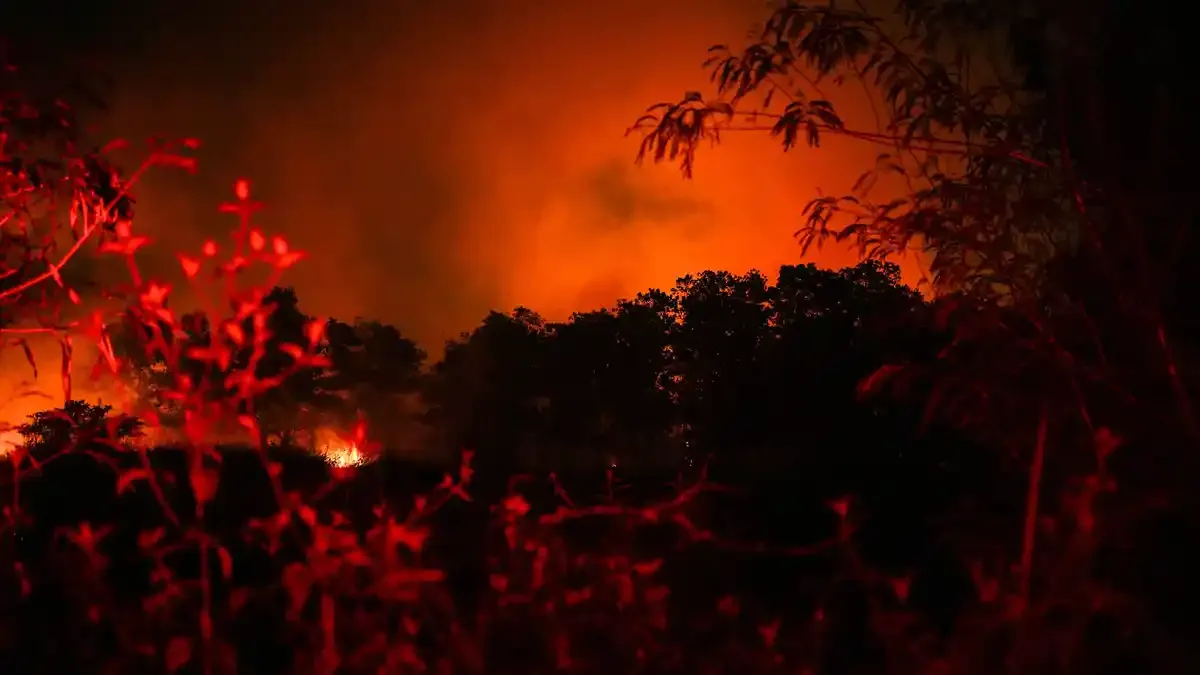 Polri Sebut 112 Tersangka Karhutla Dominan Perorangan, Motif Utama Pembukaan Lahan